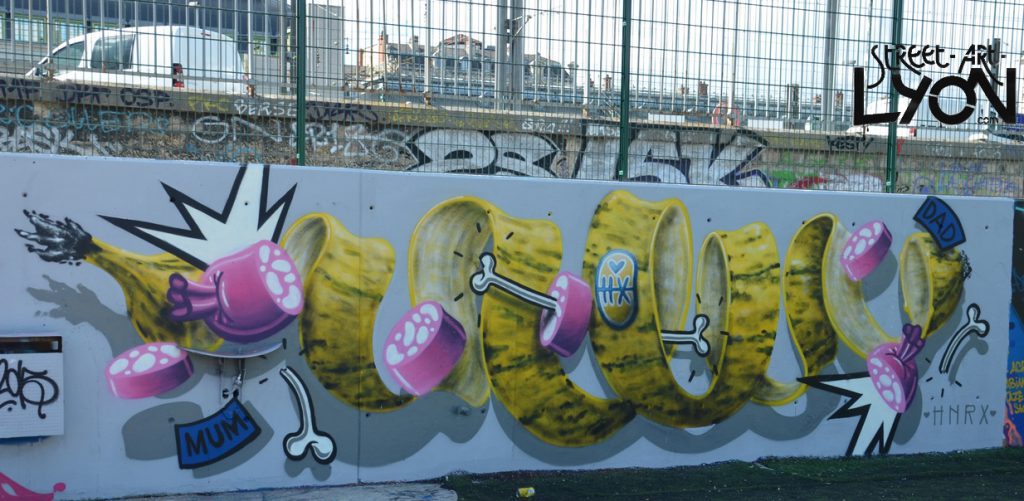 HNRX avenue de thiers, Lyon 6e
