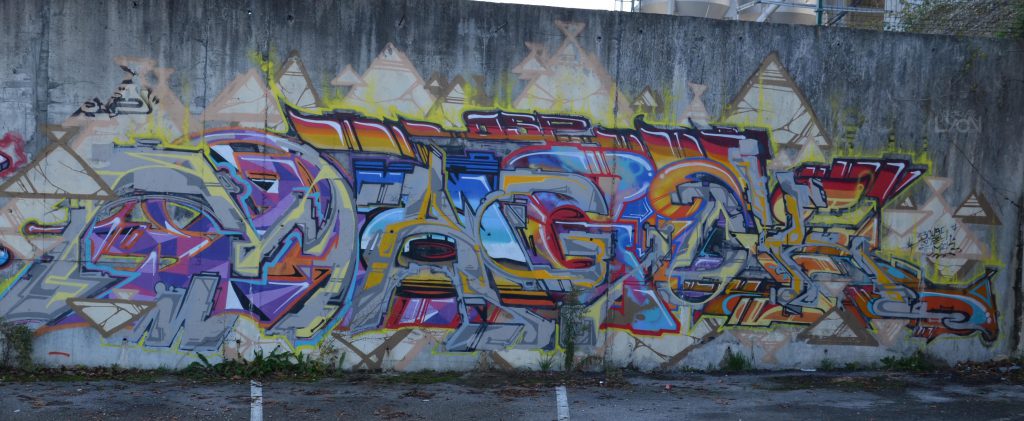 spé-puces du canal