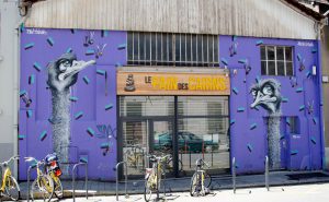 stel-insane-gresaf2019