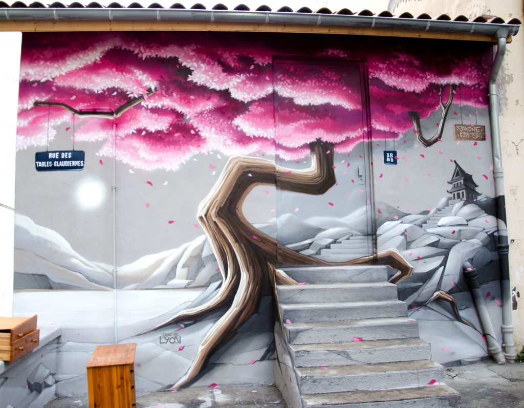 Pakone Graffiti artist rue des tables claudiennes,Lyon 1er