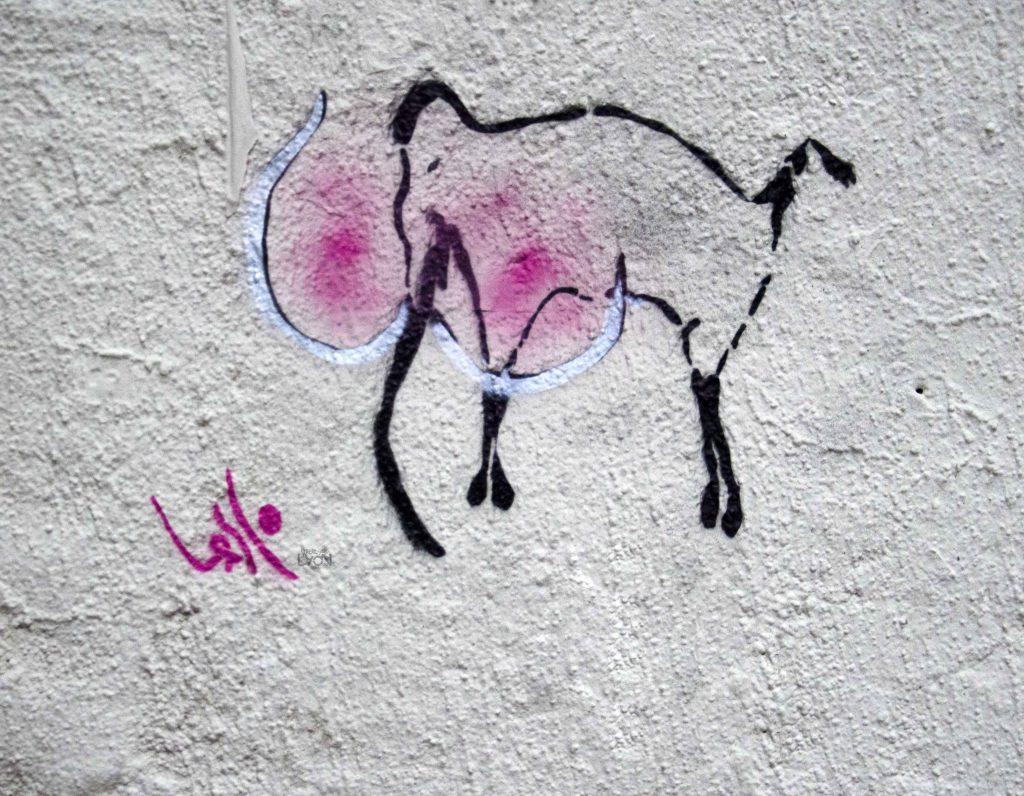 #lasco rue romarin, Lyon 1er