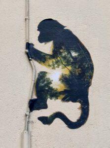 geniart-cuvier