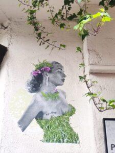 Rue romarin
