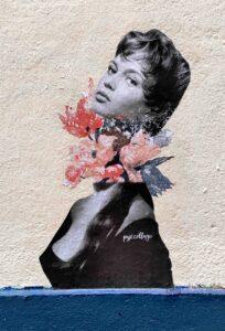 pyxcollage-capucin