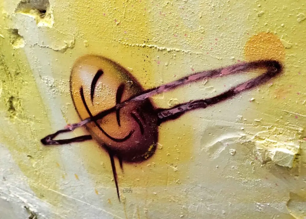 zeso-peinture fraiche festival Lyon