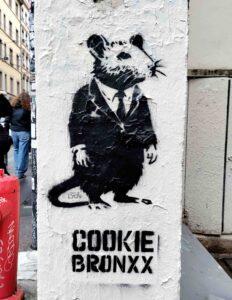 cookiebronx-terme