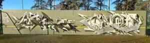 ynot-doua