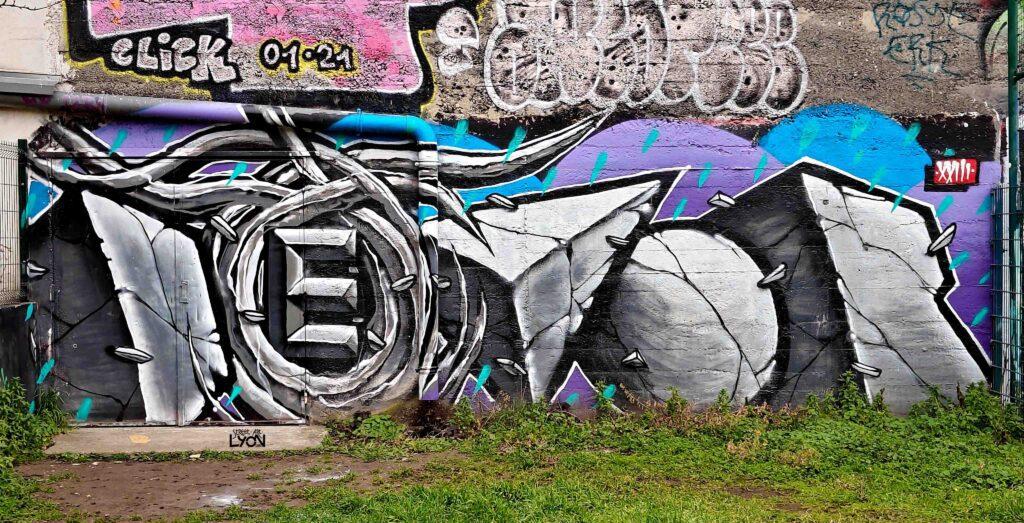 Devor rue Girard, Lyon 7e