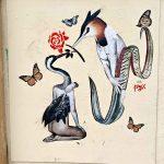pyxcollage-esplanadegrdecote
