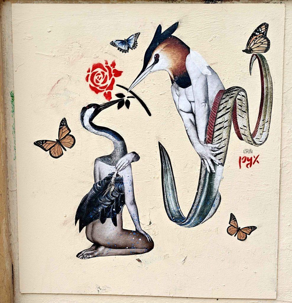 pyxcollage-esplanadegrdecote
