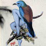 pyx-caponi